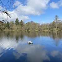 Mugdock Wood & Loch