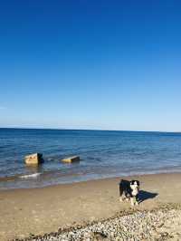 Roseisle Beach, Scotland 🏴󠁧󠁢󠁳󠁣󠁴󠁿🌿