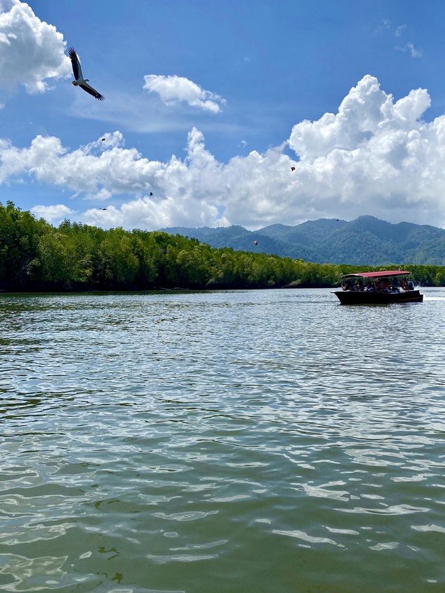 Kilim Geoforest Park - Langkawi, Malaysia  