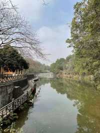 Hidden hike in Longgang