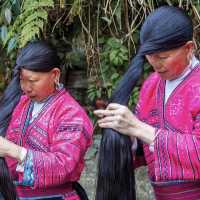 Spectacular Longji Rice Terrace Views 