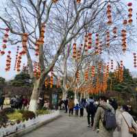 Winter day in the zoo