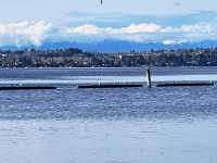 Seattle's Renton Washington Lakefront Park.