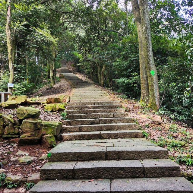 Hangzhou a sea of tranquility in the mountains 🏞