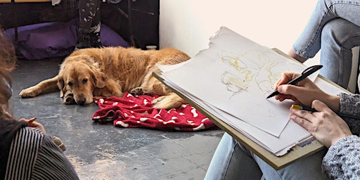 Life Drawing with Dogs - Bristol Art Class | Kit Form