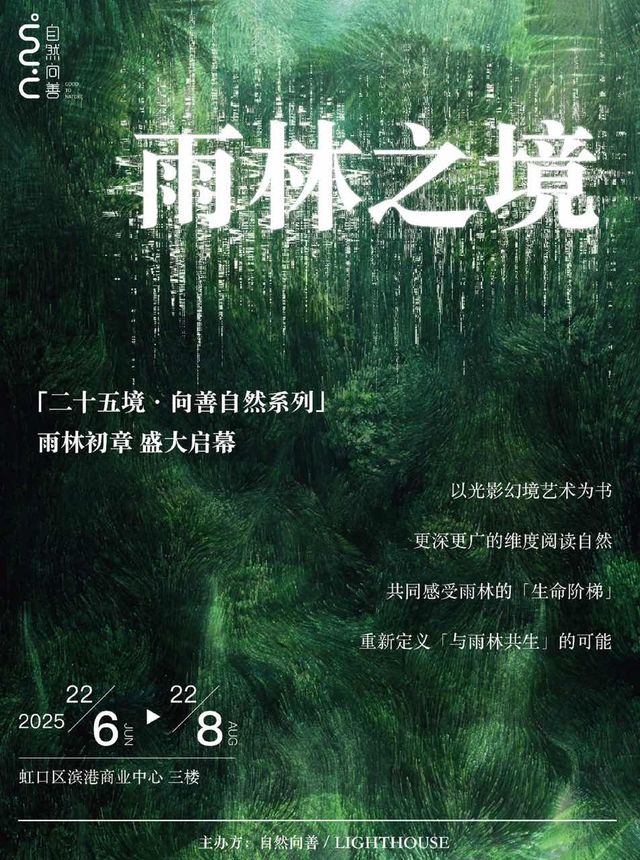 「雨林之境」國內首個垂直雨林生態層沉浸式五感奇妙互動展｜兒童親子 | 濱港商業中心-雨林之境展(L3)