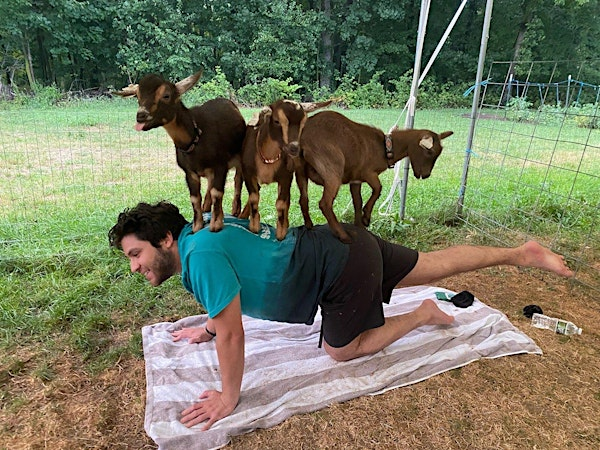 Buck Moon Goat Yoga | Chip-In Farm