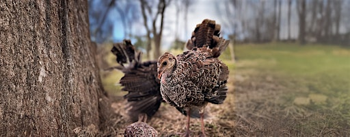 UF Wild Turkey Research Banquet | Austin Cary Learning Center