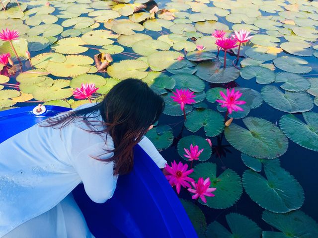 RED LOTUS SEA 