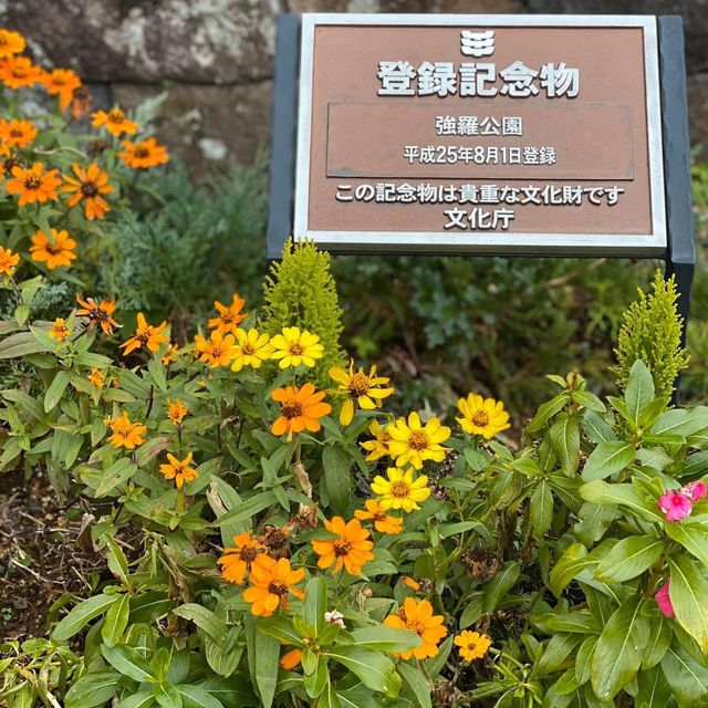 超多令紅葉🍁❤️強羅公園