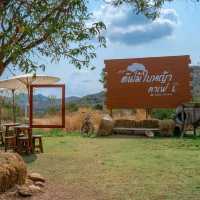 ต้นไม้ใบหญ้า Cafe' at แก่งกระจาน 🏕