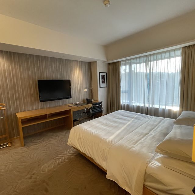 聖誕Hyatt Regency Shatin 住宿