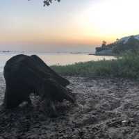 充滿歐洲風情的浪漫海灘😍