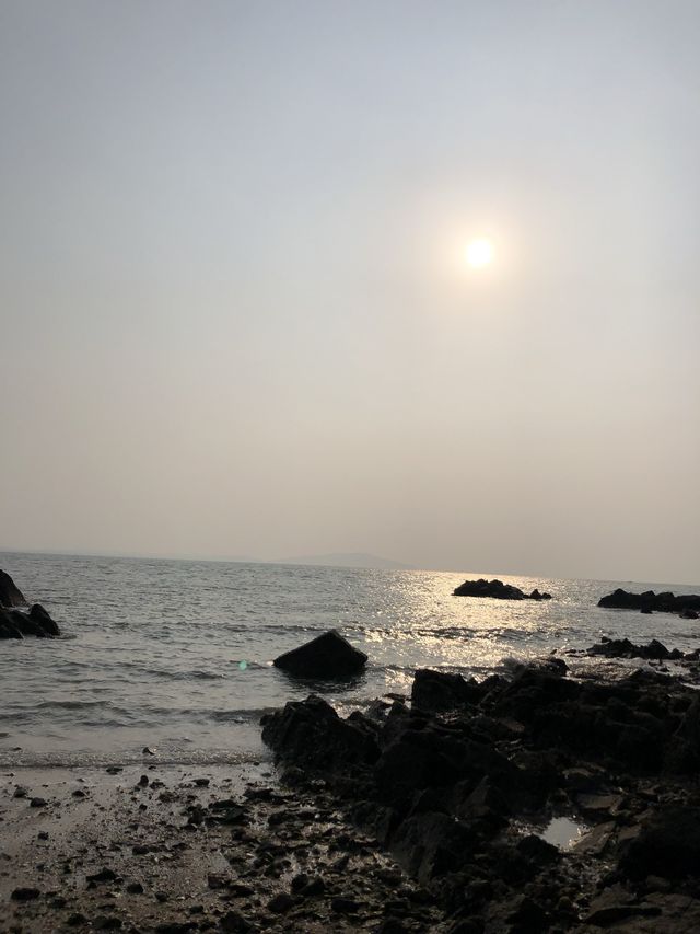 신시모도 스쿠터 드라이브 서울근교 당일치기여행