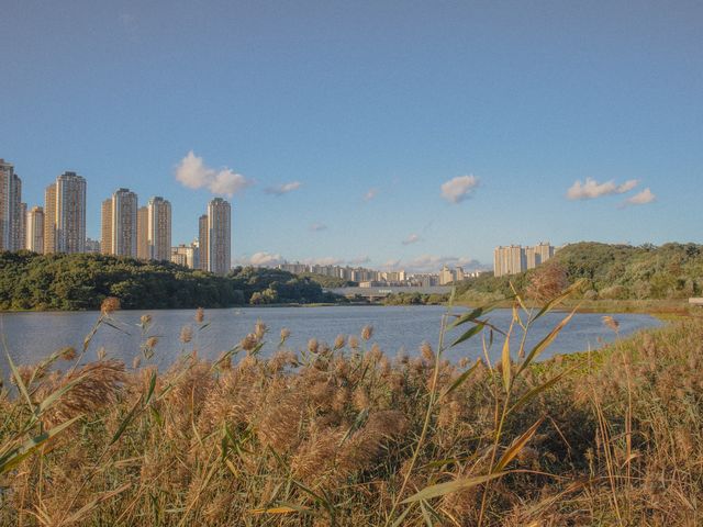 나들이하기 좋은 공원 추천 :: 광교호수공원