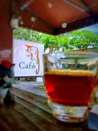 喵café