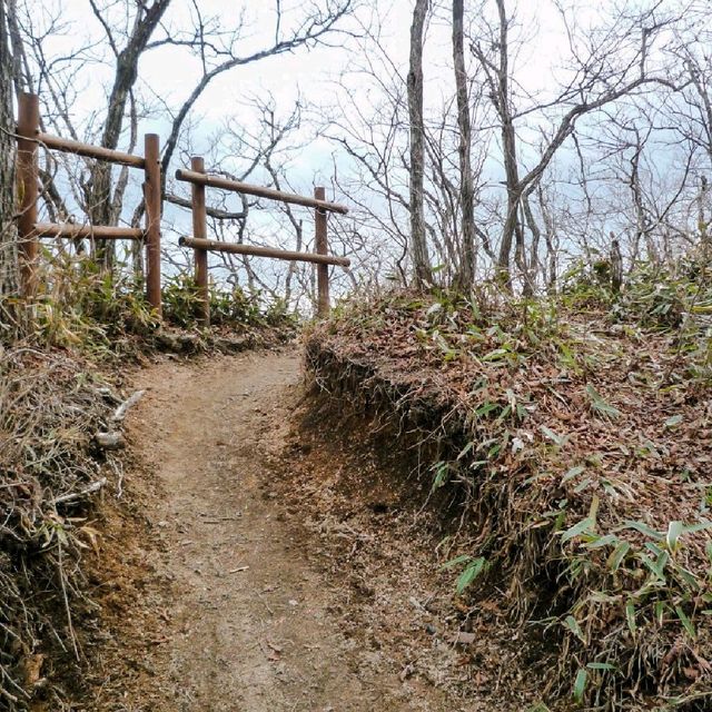 속리산등산 봄여행