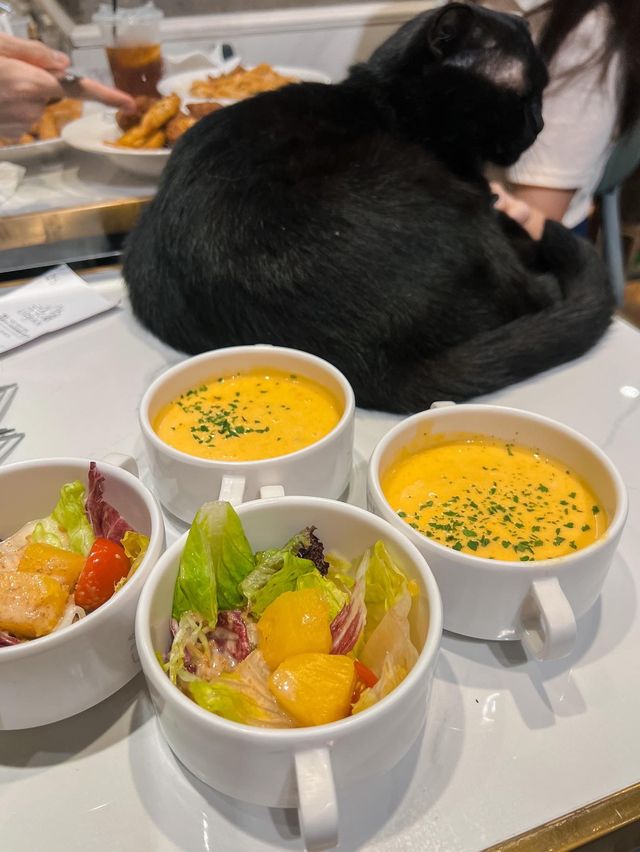 超人氣極治療的親人貓貓CAFE!