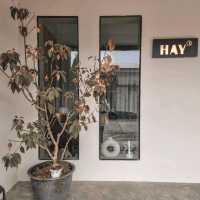 โฮมคาเฟ่สไตล์นอร์ดิกที่ราชบุรี @  HAYLO CAFE
