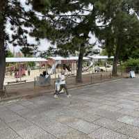 子鉄に最高広くてゆっくりできる梅小路公園