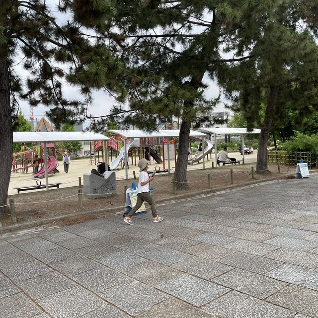 子鉄に最高広くてゆっくりできる梅小路公園