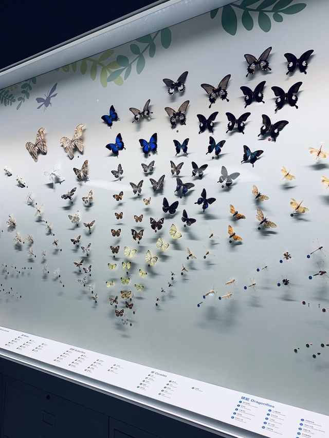 遊玩及學習的好地方 • 香港科學館 遊玩及學習的好地方 • 香港科學館
