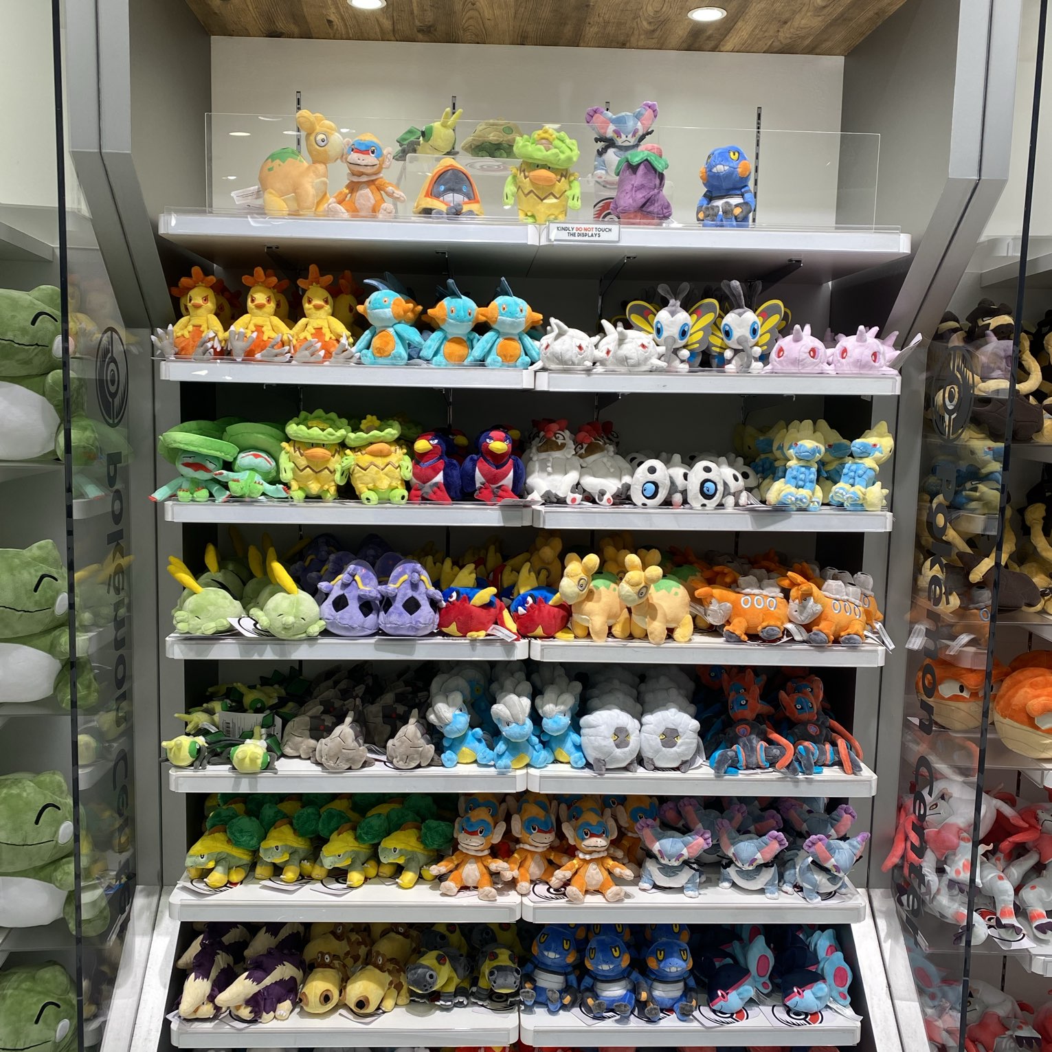 Pokemon Store Display