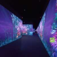 沉浸式數碼藝術博物館 ARTE M 登陸香港