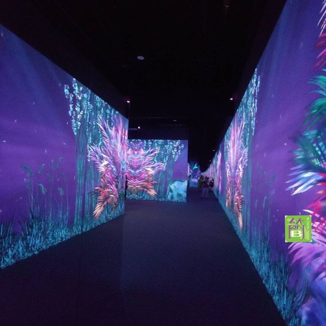 沉浸式數碼藝術博物館 ARTE M 登陸香港