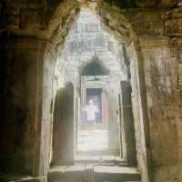 Angkor Wat Compley 163 Hectar