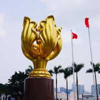 The Golden Bauhinia Square