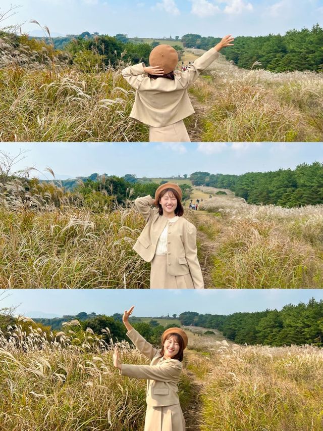 제주 가을감성 가득한 곳, ‘산굼부리’