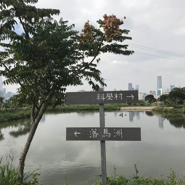 上水馬草壟南屋仔一天遊