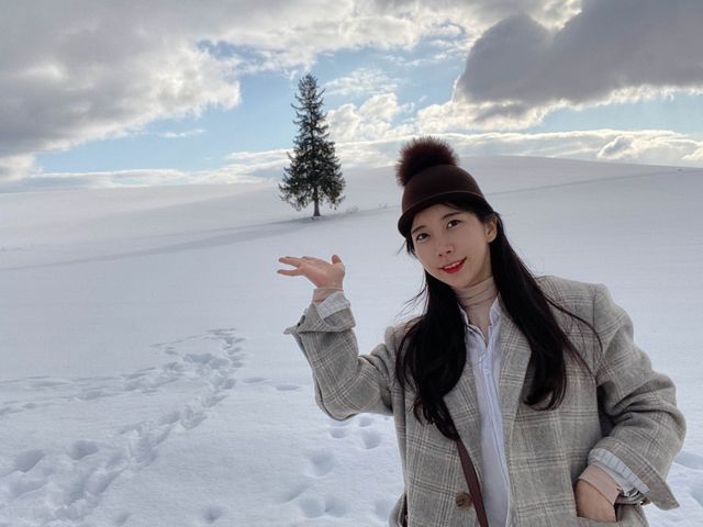 삿포로 여행 비에이 여행 필수 코스 ⭐️