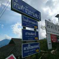 ลานสาวกอด บ้านผาฮี้