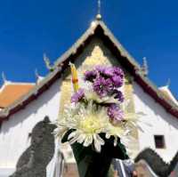 ไปน่านกัล น่านไง 