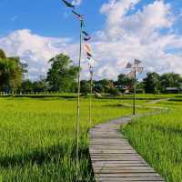 ทุ่งนา สะพานไม้ ใบเสมาหินโบราณ เต่างอย สกลนคร
