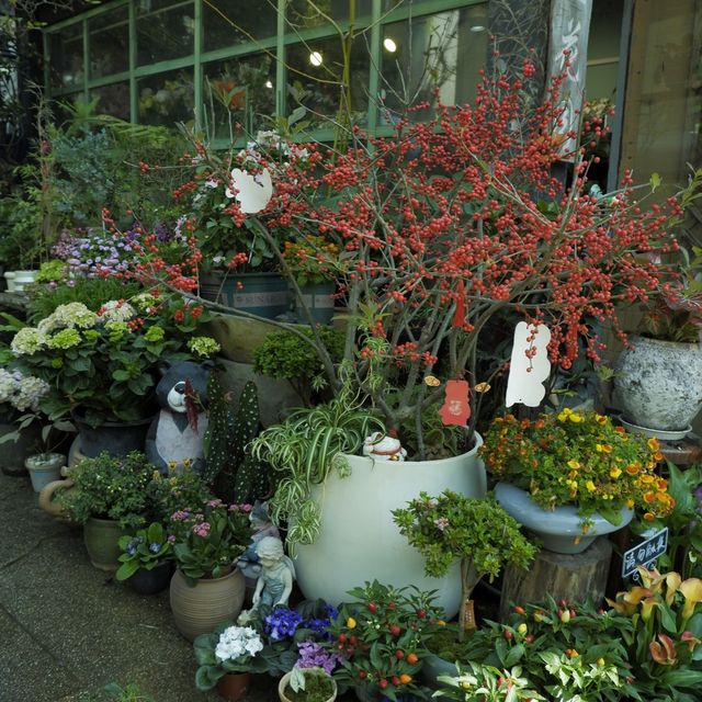 藏於小社區的園藝咖啡店
