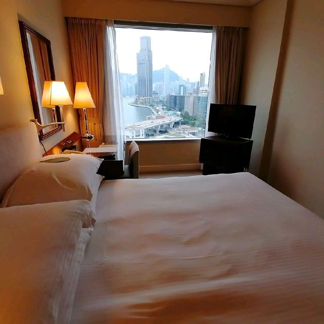  擁有超靚夜景可望尖沙咀同香港嘅酒店