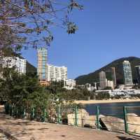 豪宅林立的深水灣