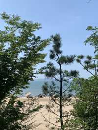 서울 근교 해수욕장 피크닉 :: 방아머리 해수욕장🏖