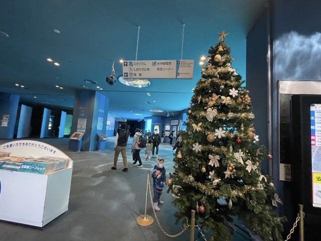 名古屋の水族館といえばココ🐠！【名古屋港水族館】