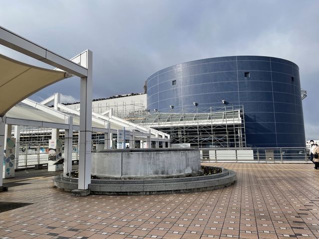 名古屋港水族館周辺！入園しなくても楽しめる🙆‍♀️🐬💓【名古屋港】