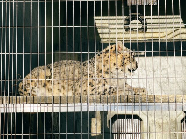 名古屋【東山動植物園】