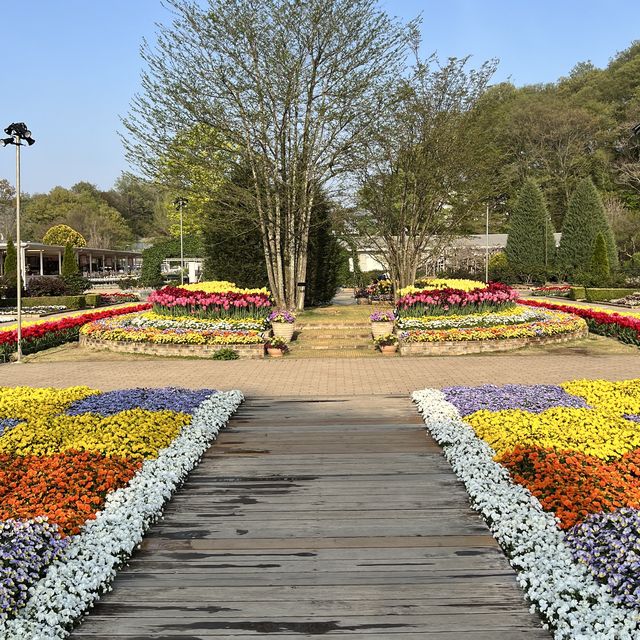 【栃木】チューリップが満開🌷まだまだ桜も楽しめる✨