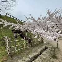 北海道函館　五稜郭公園