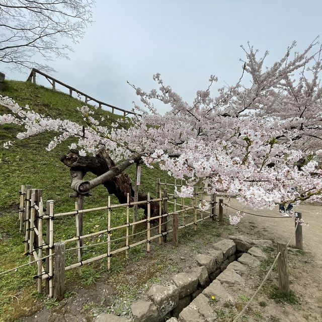 北海道函館　五稜郭公園