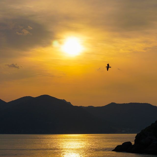 거제도의 일몰 맛집, 신선대🌅