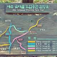 🌲 제주의 자연과 함께하는 숲캉스, 제주곶자왈도립공원