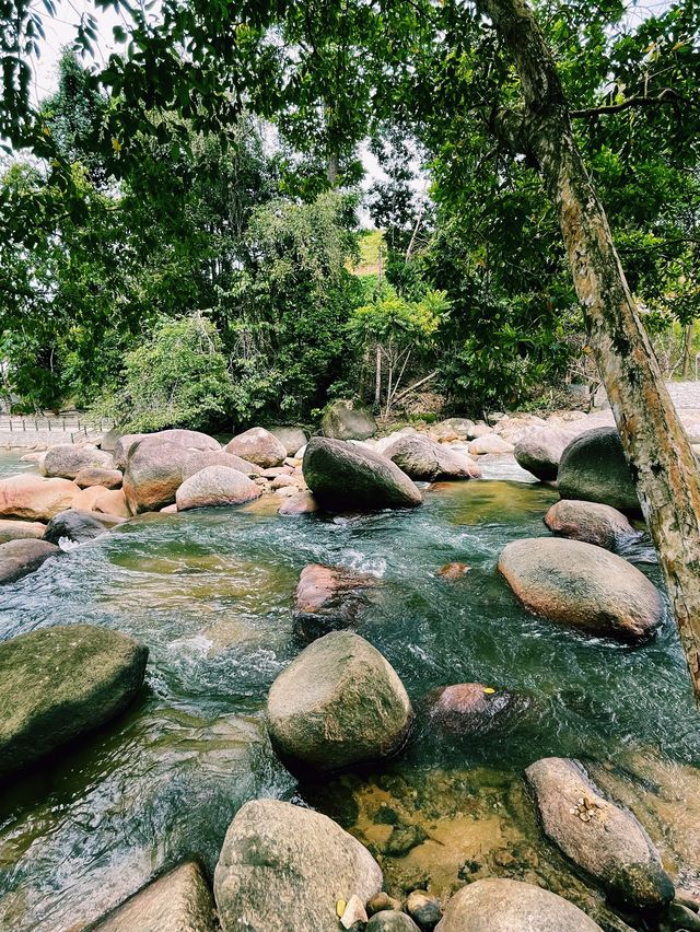 Rumah Hutan Bonda Rozita